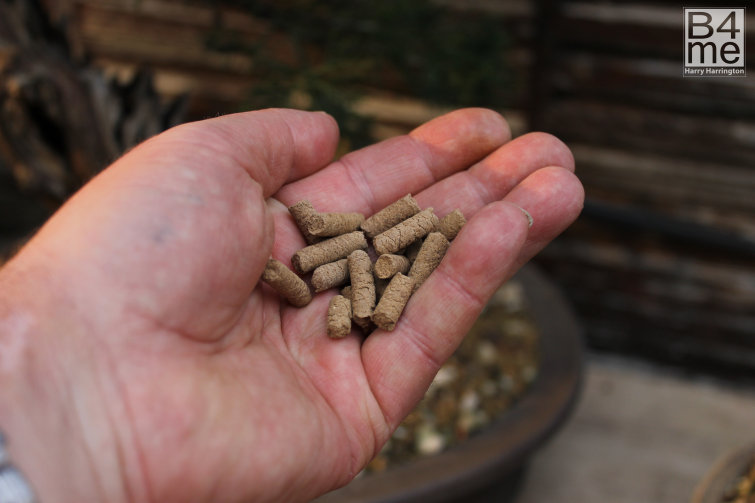 slow release fertiliser